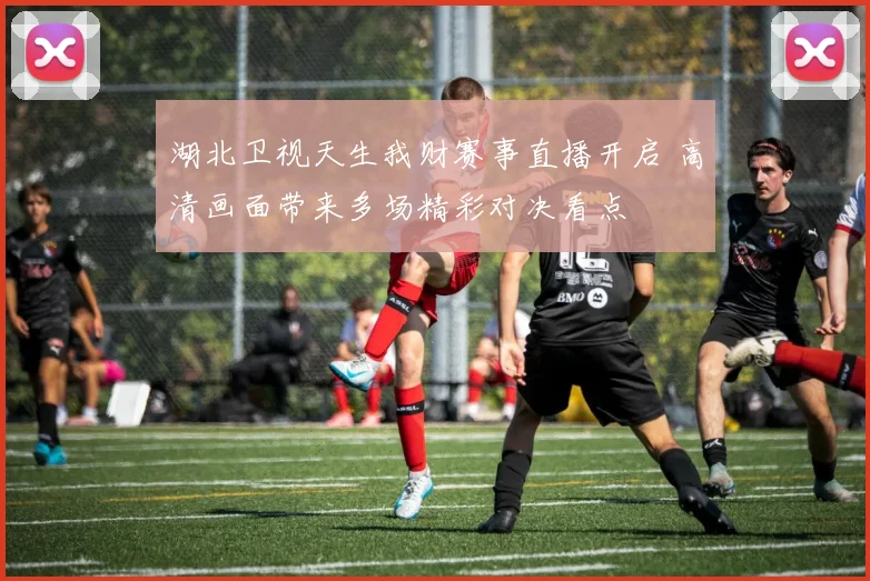 湖北卫视天生我财赛事直播开启 高清画面带来多场精彩对决看点