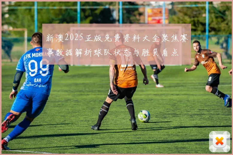 新澳2025正版免费资料大全聚焦赛事数据解析球队状态与胜负看点