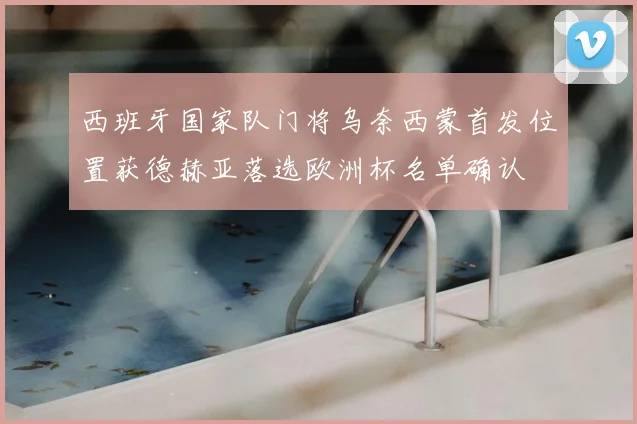 西班牙国家队门将乌奈西蒙首发位置获德赫亚落选欧洲杯名单确认