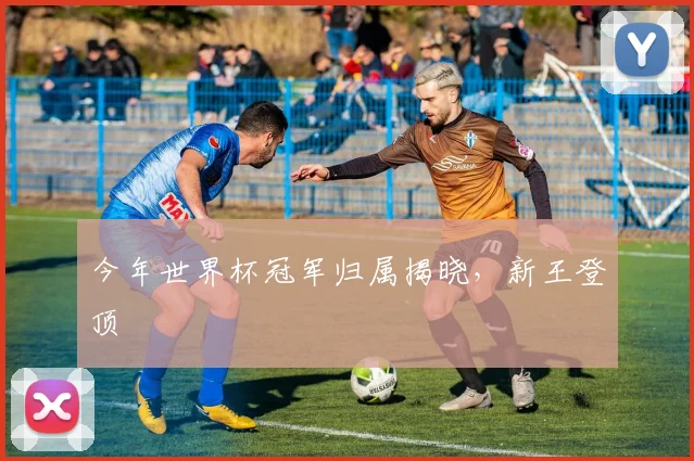 今年世界杯冠军归属揭晓，新王登顶