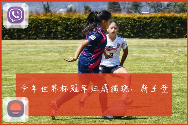 今年世界杯冠军归属揭晓，新王登顶