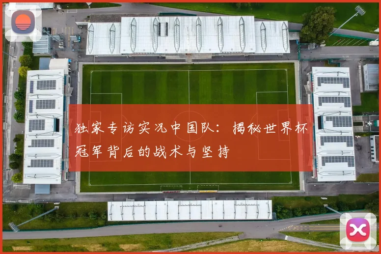 独家专访实况中国队：揭秘世界杯冠军背后的战术与坚持